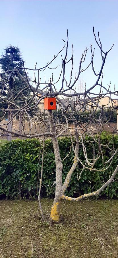 B&B Dimora Dei Folletti Monzuno Luaran gambar